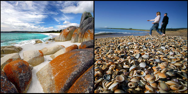 Beaches & Surfing in Tasmania 1