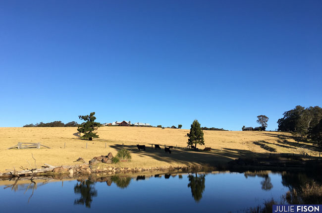 Feasting and Hiking at Spicers Peak Lodge