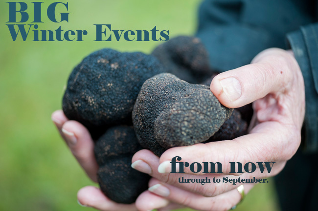 Big Winter Events 1