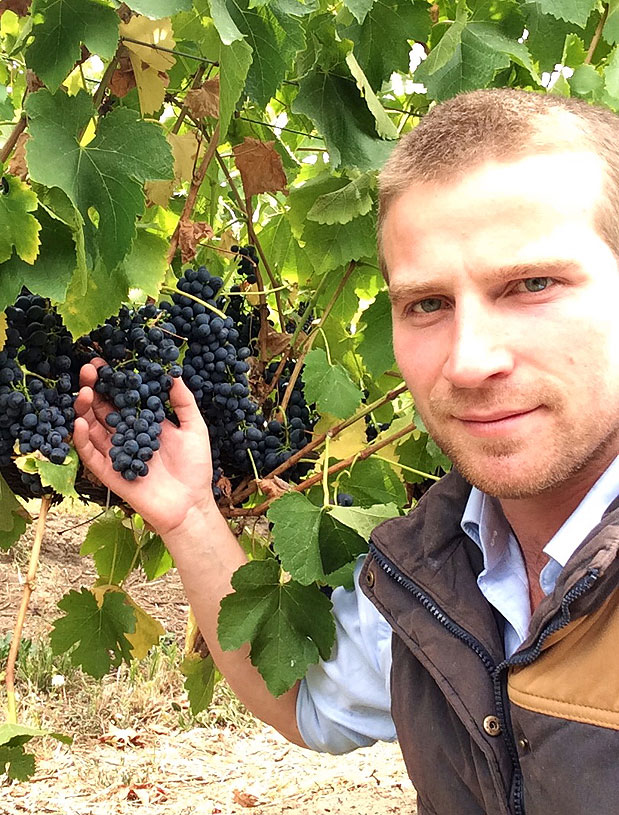 Not Just a Winemaker, Interview: Tom Northcott 1