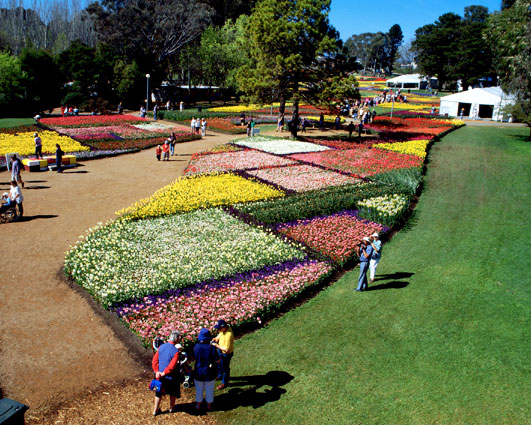 Floriade, Canberra 1