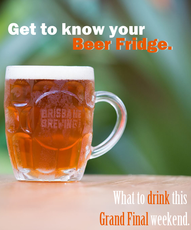 Get to Know Your Beer Fridge 1