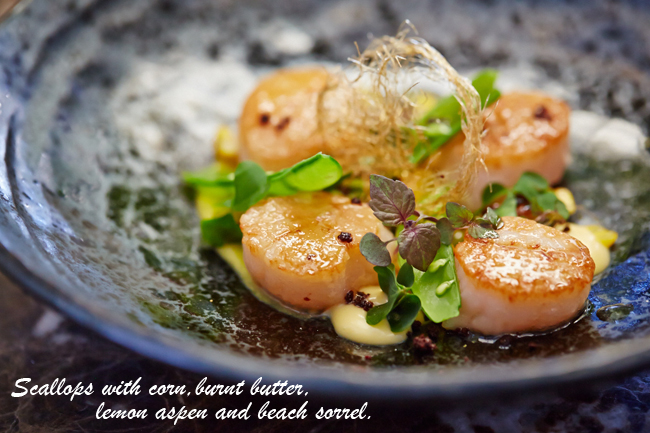 Steven Snow's Scallops paired with Corn Puree