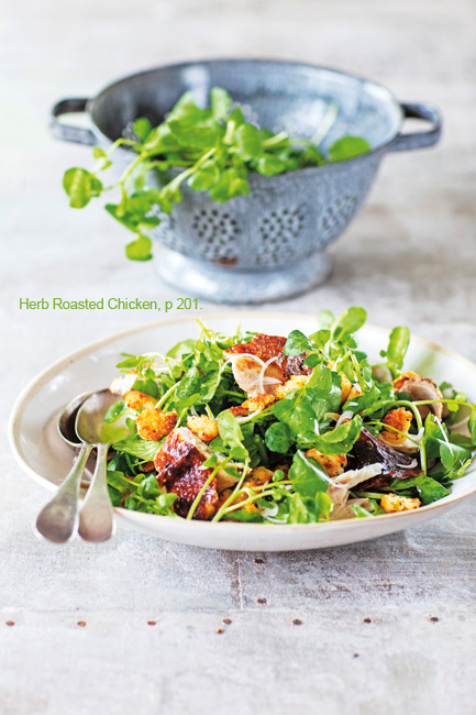 Fresh Tastes for 2017 with The Salad Book