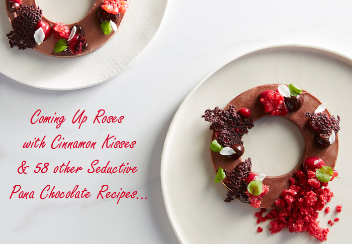 Coming Up Roses with Cinnamon Kisses & 58 other Seductive Chocolate Recipes