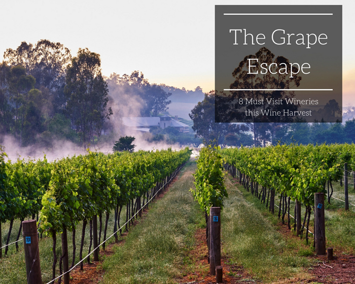 The Grape Escape: Must Visit Wineries this Wine Harvest