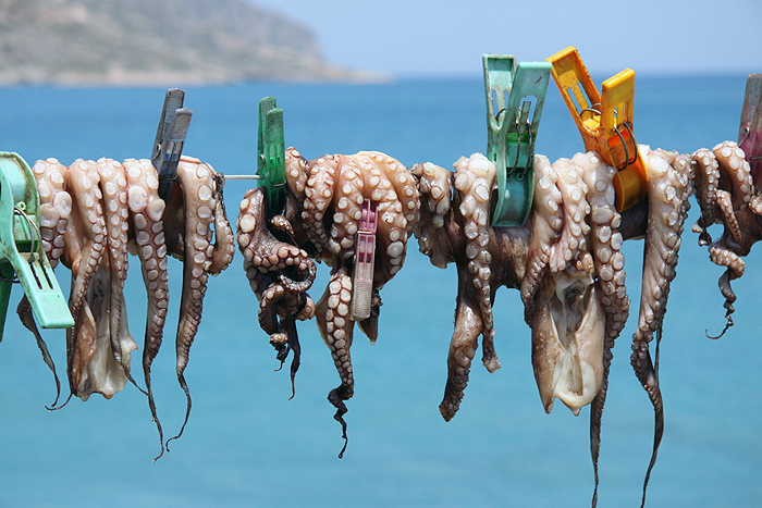 Going Greek: 12 of the Best Greek food photos