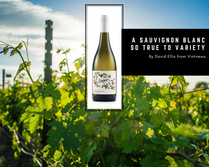 A Sauvignon Blanc so True to Variety