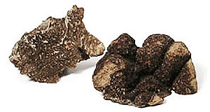 Australian Truffles 2