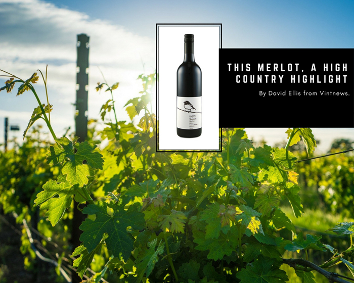 This Merlot, A High Country Highlight