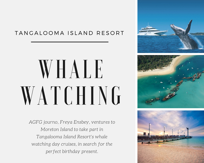 The Perfect Gift: Whale Watching with Tangalooma Island Resort