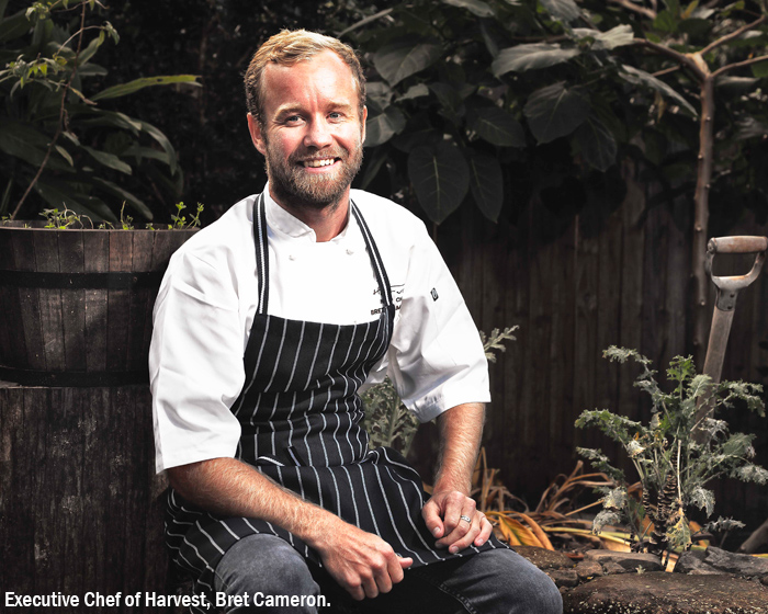 Tweed Jackets: the Growing Pedigree of Northern NSW’s Chefs