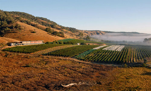 Wineries in the ACT