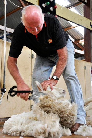 Kangaroo Island’s Shear Fun Event 2