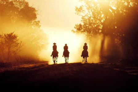 Cattle Muster Journeys in Australia 1