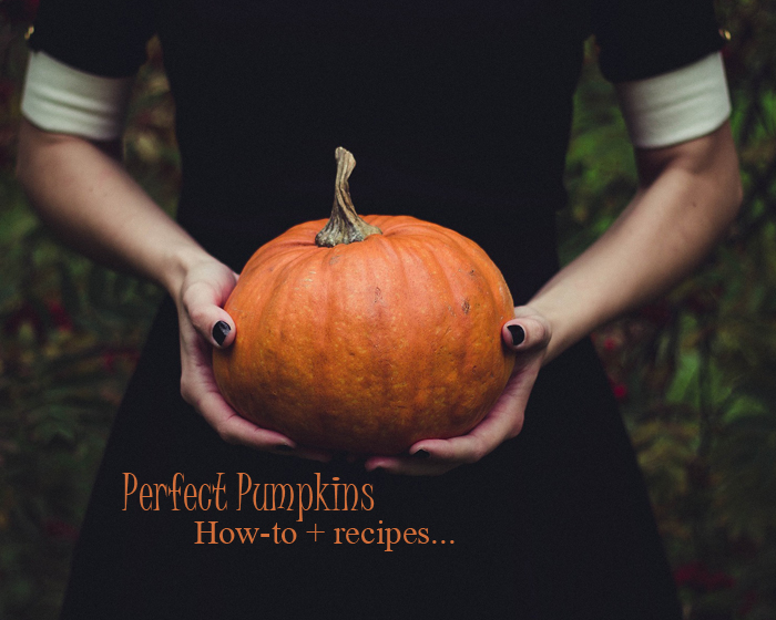 Give 'Em Pumpkin to Talk About - Perfect Halloween Pumpkins.