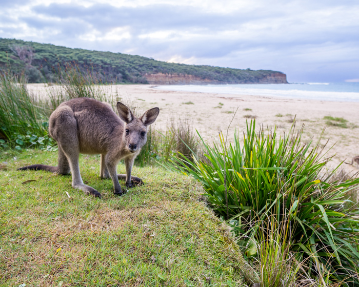 Top 10 Hidden Australian Gems Missing from Your Traveller’s Bucket List