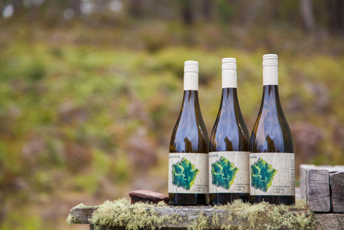 7 Top Tassie Wines and Ciders to Enjoy this Summer