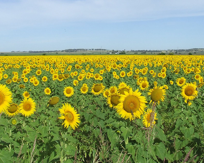 An Instagrammer’s Guide to South East QLD’s Hidden Gems