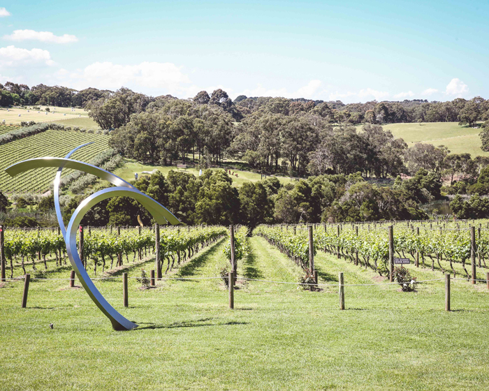 From Acre to Acres with Gerard Phelan of Montalto