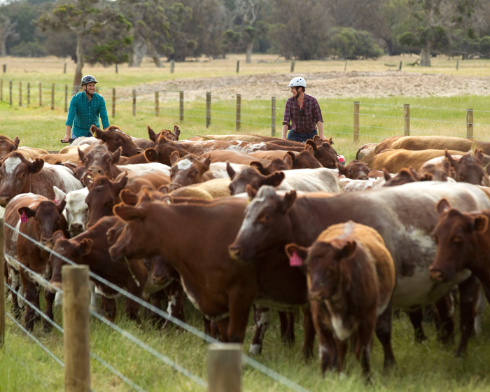 Curtis Stone Goes on an Epic WA Road Trip and We’ve got the Photos to Prove It