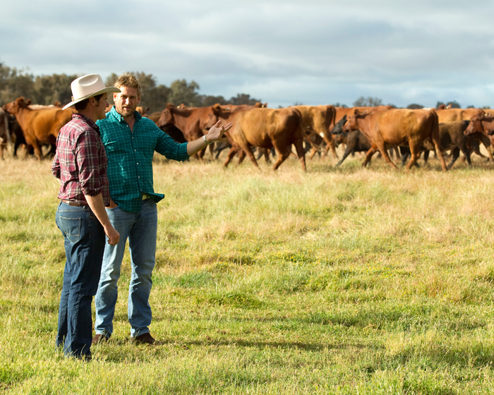 Curtis Stone Goes on an Epic WA Road Trip and We’ve got the Photos to Prove It