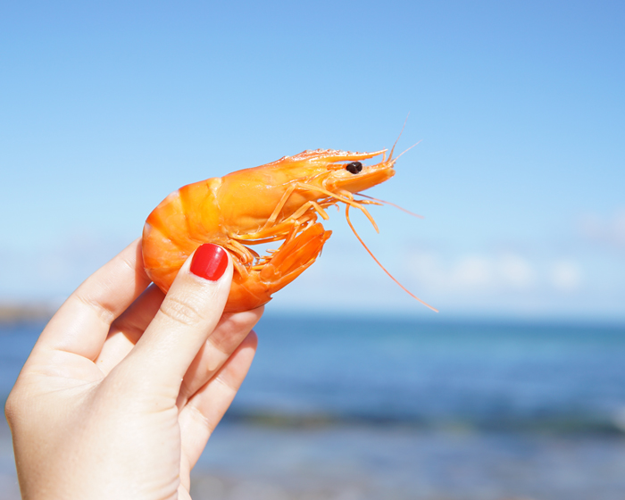 There won't be 'Plenty More Fish in the Sea' without Sustainable Seafood