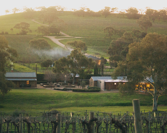 Lachlan Colwill's Life Lessons from Hentley Farm