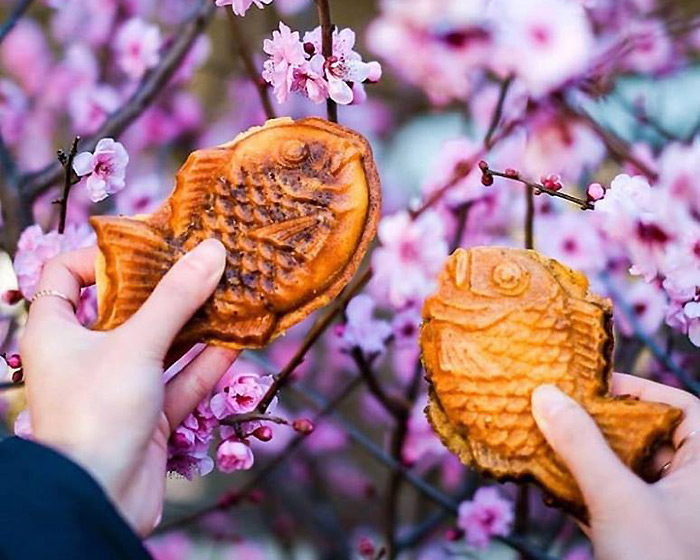 Spring into Cherry Blossom Season at 18 of our Favourite Japanese Restaurants