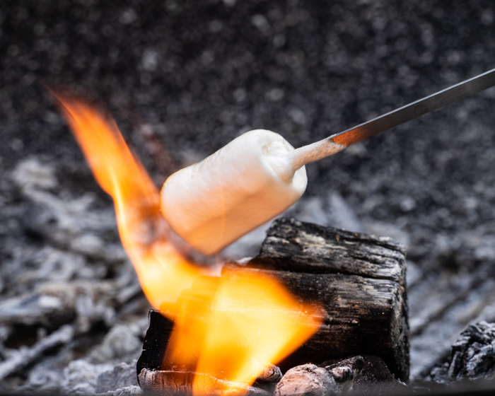 5 Recipes Perfect for the Campfire