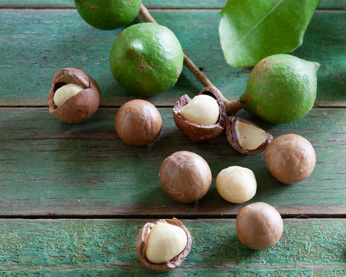 10 Things You Didn't Know about Australia's Native Macadamia Nuts