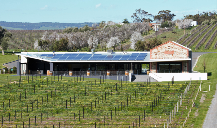 Heard it Through the Grapevine: Siblings Organic Wine Success