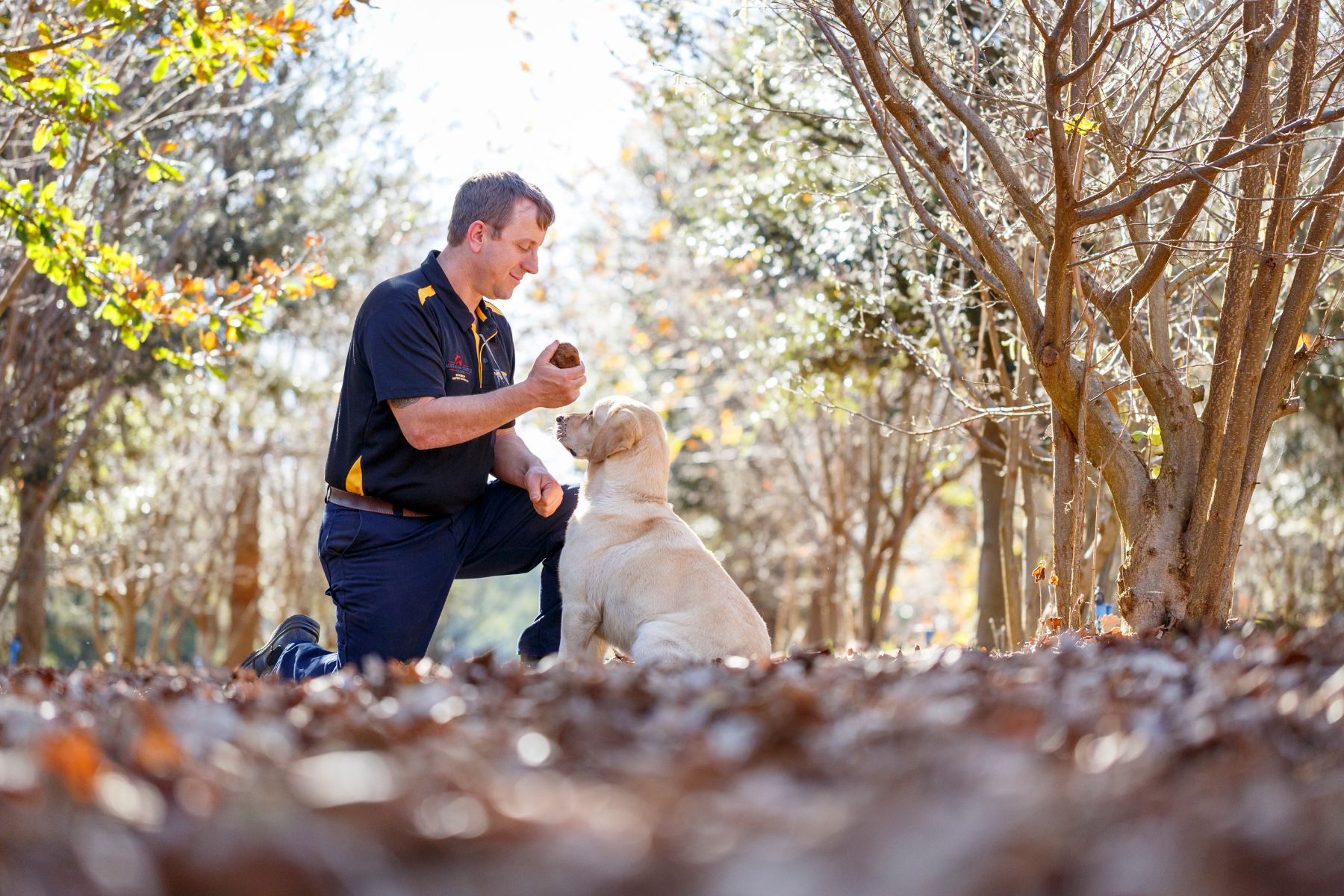 How to Get Your Truffle Fix this Season – Order Australian Truffles Online