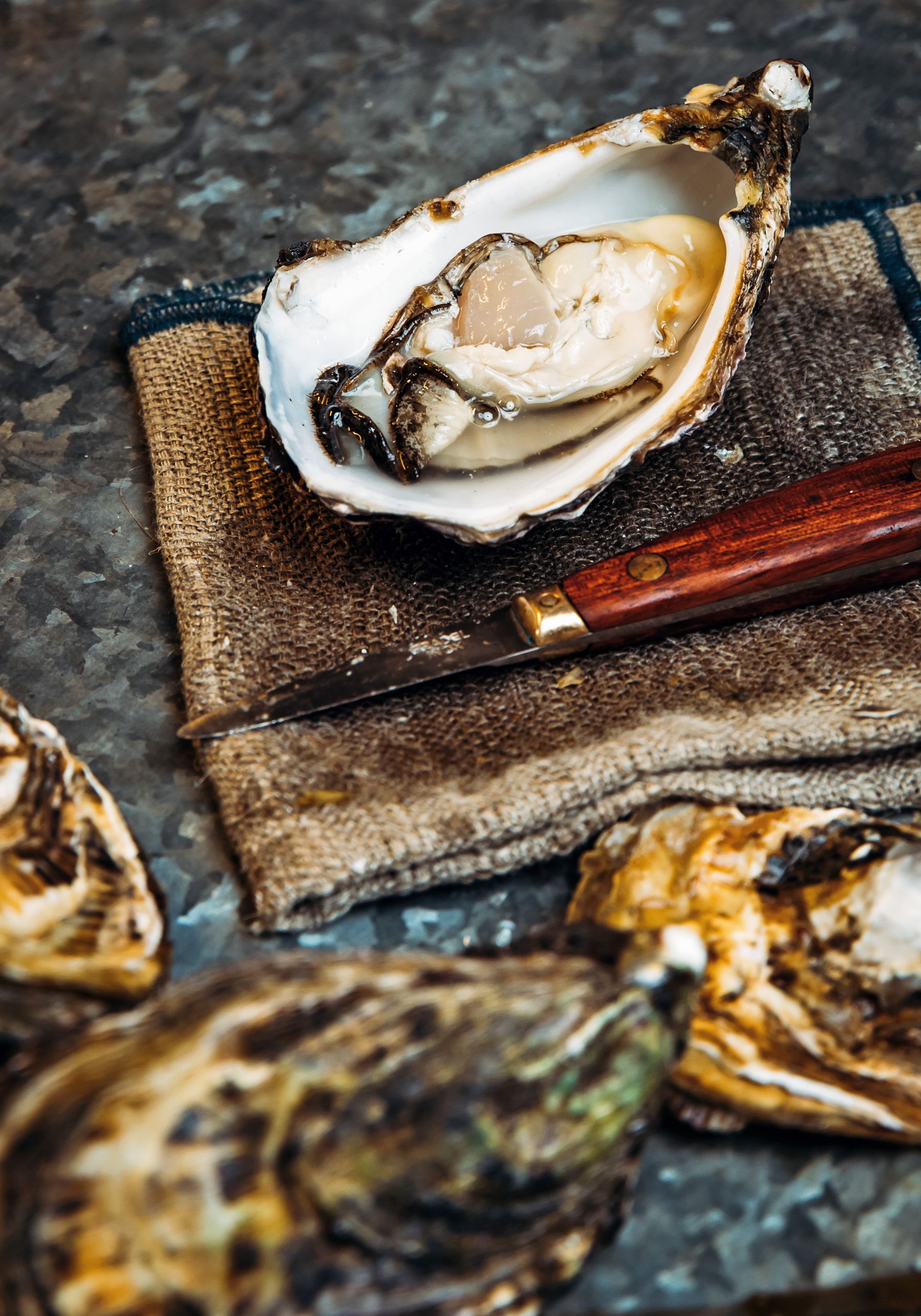 Shuck Me that’s a Good Oyster – Four Recipes to Try on World Oyster Day.