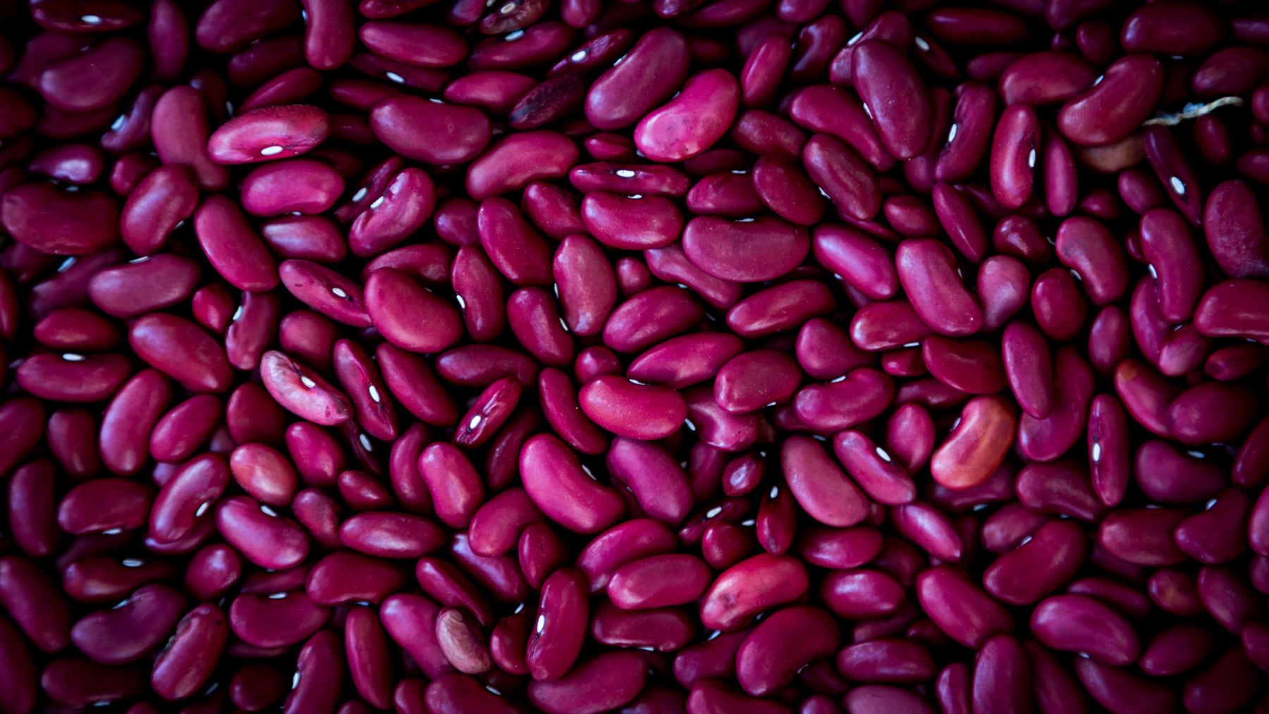 Full of Beans - Alimentary's Lockdown Tips & Recipe.