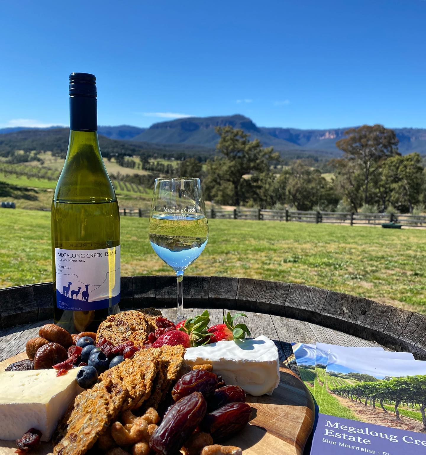 Cheers to Vacay Time - Winery Cellar Doors Open for a Vino during the Holidays.