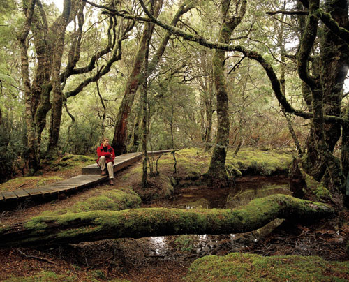 Bushwalking & Hiking in Tasmania 1