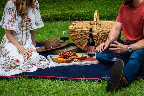 Going on a Picnic? Alpaca Lunch - Five Picnic Plates Best Enjoyed with Bubbles.