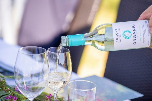 Great Minds Drink Alike – Cheers to National Pinot Grigio Day.