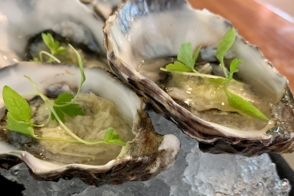 Awww Shucks! It’s National Oyster Day 2021 – Try this Recipe by Matt Golinski to Celebrate.