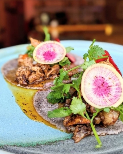 Taco Walk on the Wild Side – Say Hola to National Taco Day 2021.