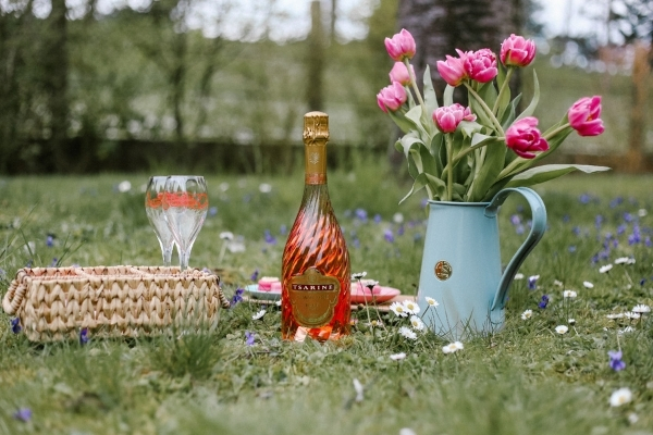 Sunday Picnic Session in the Park with Tsarine Champagne – What More Do You Want?