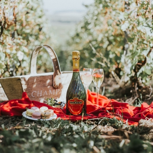 Sunday Picnic Session in the Park with Tsarine Champagne – What More Do You Want?