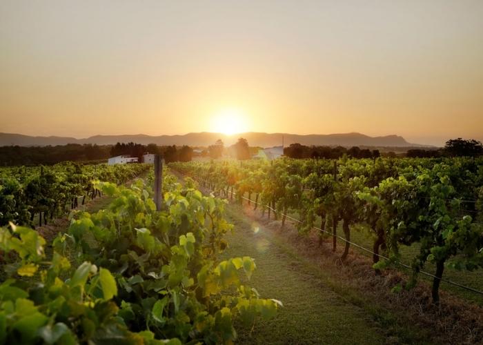 There’s Never Been a Better Time to Try Australian Wine – 2022 Wine Harvest.