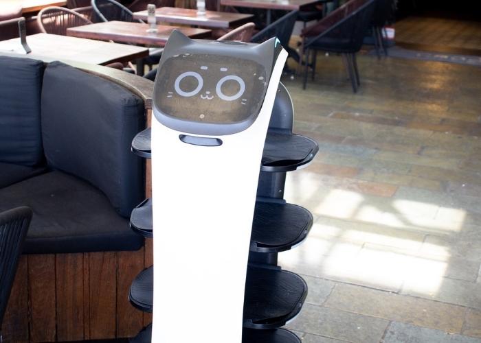 Meet BellaBot – Your Robot Waiter at Casa Ristorante Italiano and Planar Restaurant!