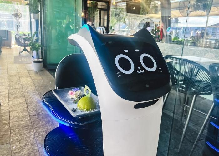 Meet BellaBot – Your Robot Waiter at Casa Ristorante Italiano and Planar Restaurant!