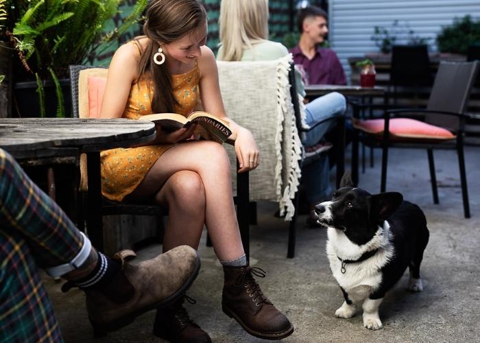 Best Dog-friendly Venues to Celebrate National Puppy Day.
