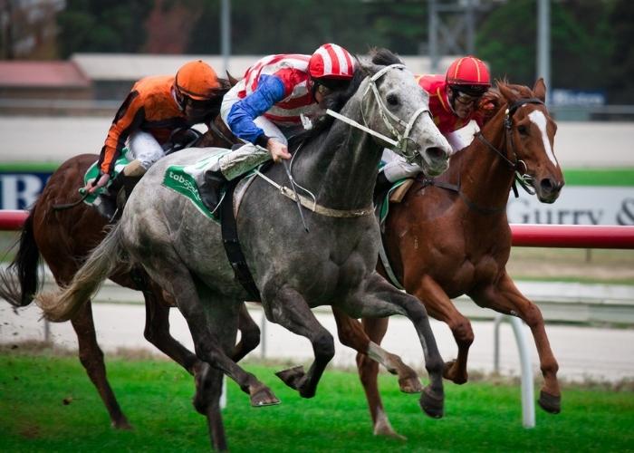 Stirrup Trouble! Fun Melbourne Cup Facts to Keep You Horsing Around.