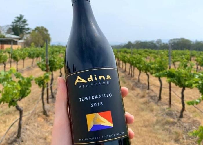 Grape Minds Drink Alike – Cheers to International Tempranillo Day!