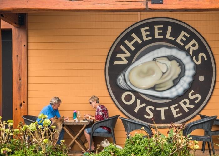Shuck Your Way Along the Sapphire Coast Oyster Trail!